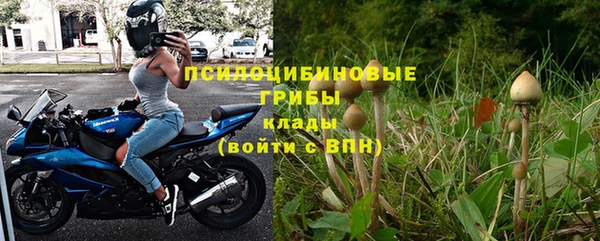 СК Балахна