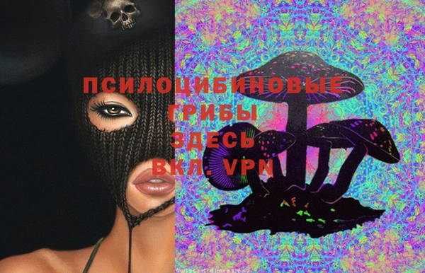 СК Балахна