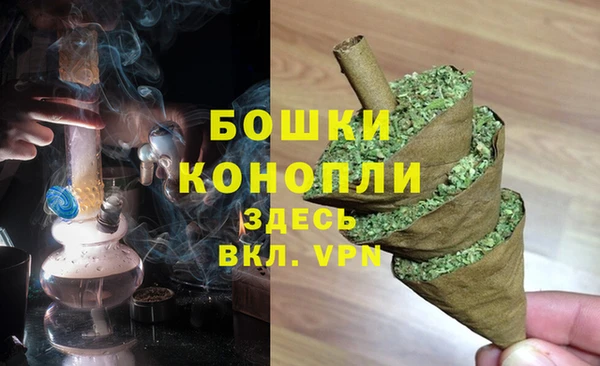 гидра Аркадак
