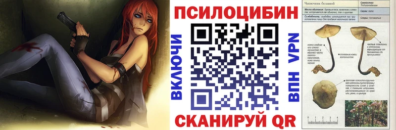 Галлюциногенные грибы мицелий  Балей 