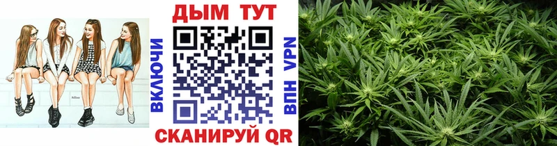закладка  Балей  Шишки марихуана индика 